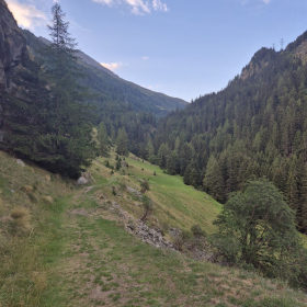 Vis Francigena 2026 öffentliche Fotos