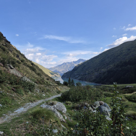 Vis Francigena 2026 öffentliche Fotos