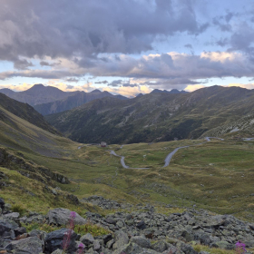 Vis Francigena 2026 öffentliche Fotos