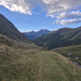 Vis Francigena 2026 öffentliche Fotos