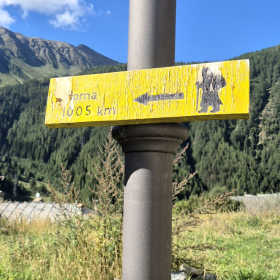 Vis Francigena 2026 öffentliche Fotos