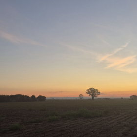 Vis Francigena 2026 öffentliche Fotos
