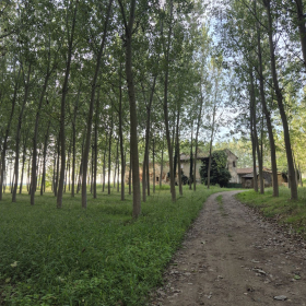 Vis Francigena 2026 öffentliche Fotos