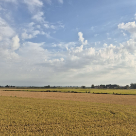 Vis Francigena 2026 öffentliche Fotos