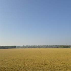 Vis Francigena 2026 öffentliche Fotos