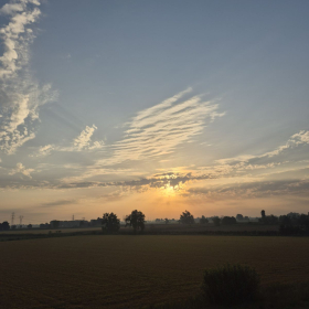 Vis Francigena 2026 öffentliche Fotos