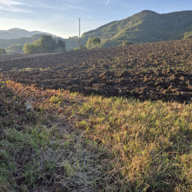 Vis Francigena 2026 öffentliche Fotos