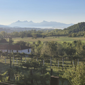 Vis Francigena 2026 öffentliche Fotos