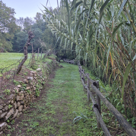 Vis Francigena 2026 öffentliche Fotos