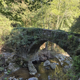 Vis Francigena 2026 öffentliche Fotos