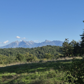 Vis Francigena 2026 öffentliche Fotos