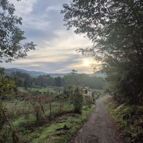 Vis Francigena 2026 öffentliche Fotos