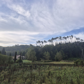 Vis Francigena 2026 öffentliche Fotos