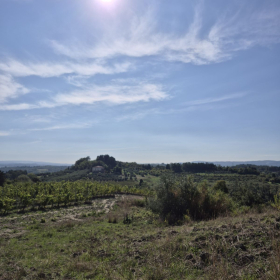 Vis Francigena 2026 öffentliche Fotos
