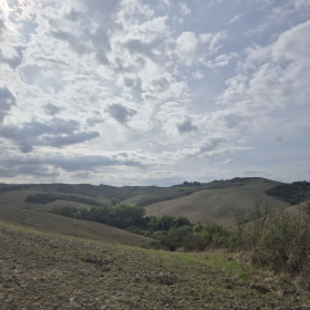 Vis Francigena 2026 öffentliche Fotos