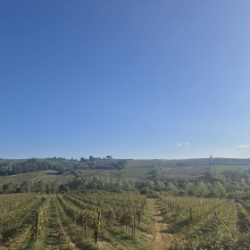 Vis Francigena 2026 öffentliche Fotos