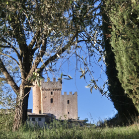 Vis Francigena 2026 öffentliche Fotos