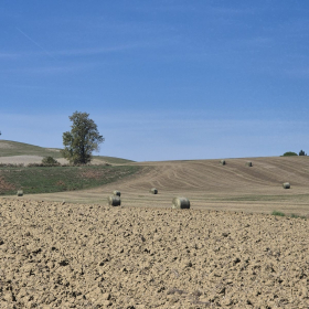Vis Francigena 2026 öffentliche Fotos