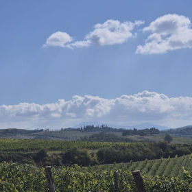 Vis Francigena 2026 öffentliche Fotos