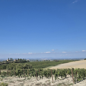 Vis Francigena 2026 öffentliche Fotos