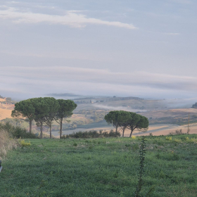 Vis Francigena 2026 öffentliche Fotos