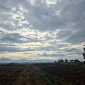 Vis Francigena 2026 öffentliche Fotos