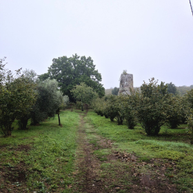 Vis Francigena 2026 öffentliche Fotos